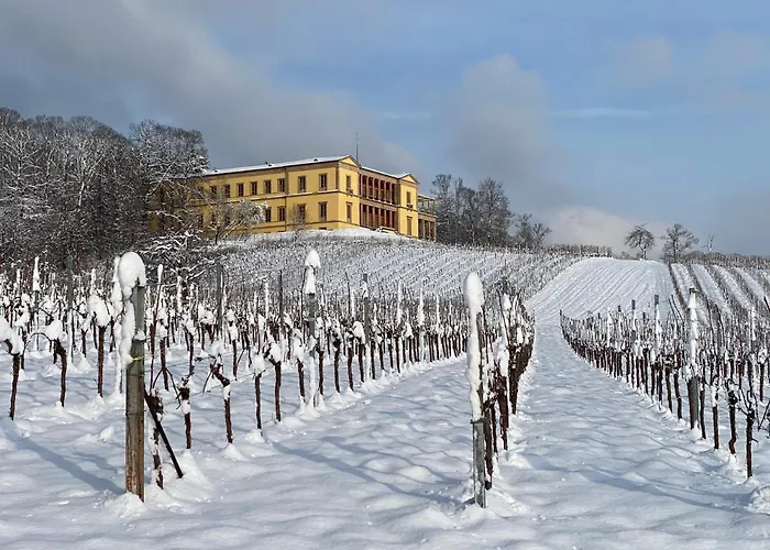 Ferienhaus Pfaelzer Wald Weyher