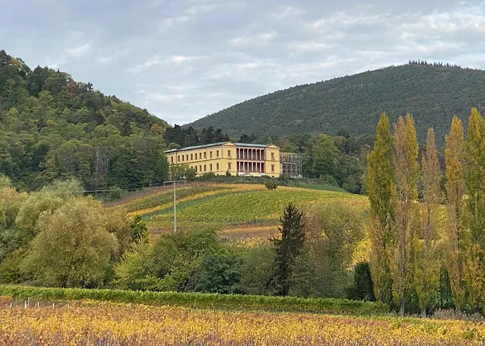 Ferienhaus Pfaelzer Wald Weyher