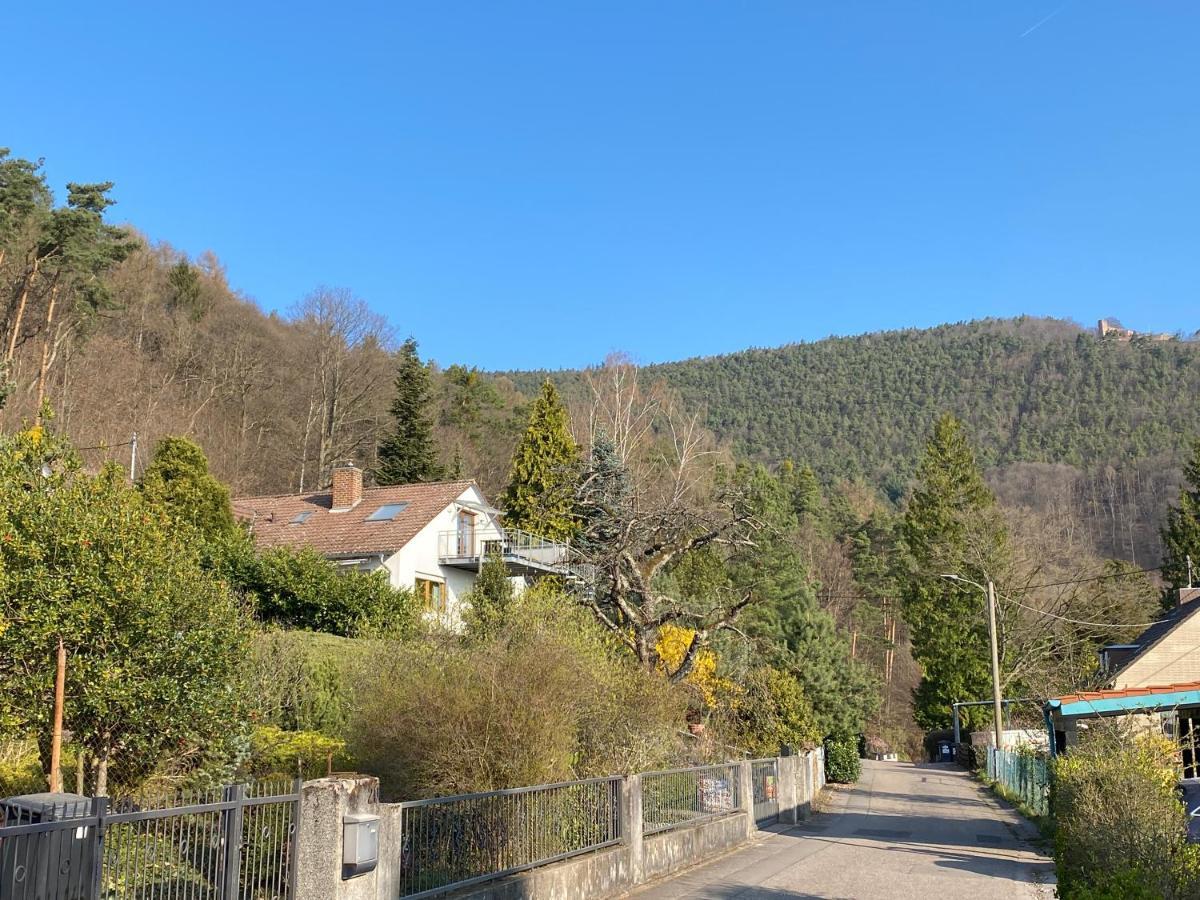 Pfaelzer Wald *
