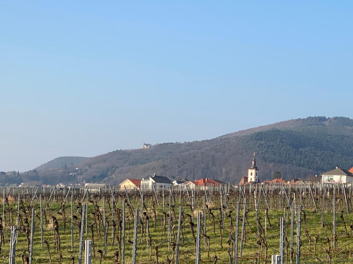 Pfaelzer Wald Appartamento