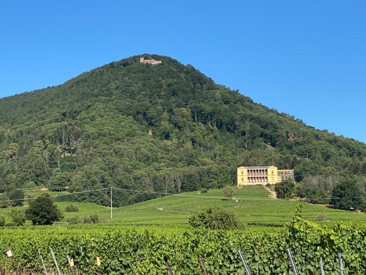 Appartamento Pfaelzer Wald